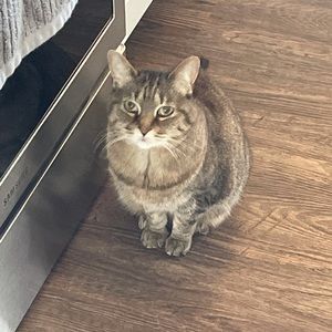 Meet your Posher, Anita